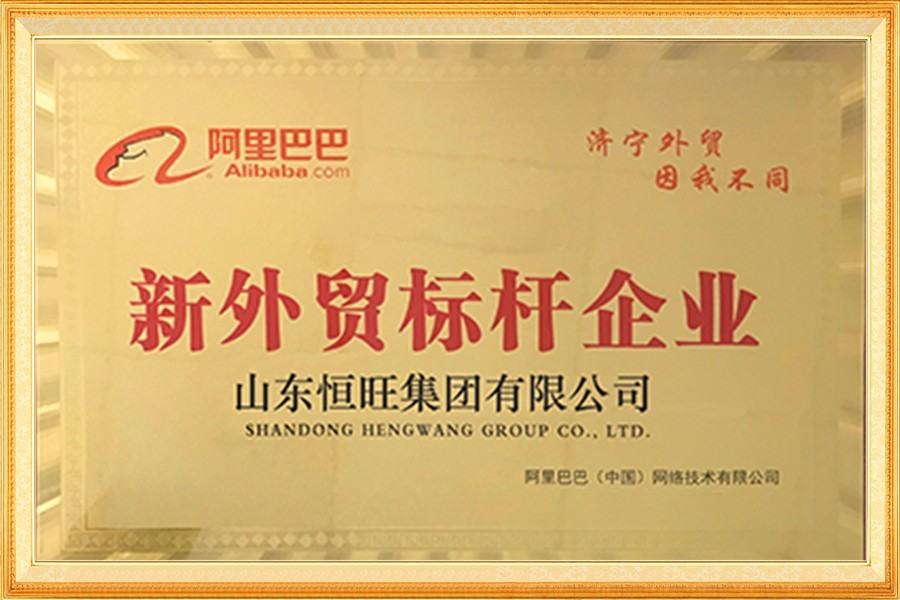 阿裏巴巴新(xin)外貿标杆企(qǐ)業